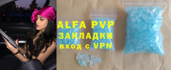 стафф Алексин