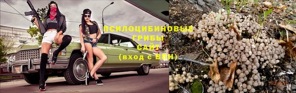 ПСИЛОЦИБИНОВЫЕ ГРИБЫ Алексеевка