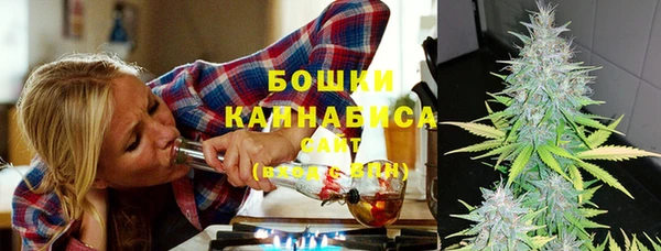 ПСИЛОЦИБИНОВЫЕ ГРИБЫ Алексеевка