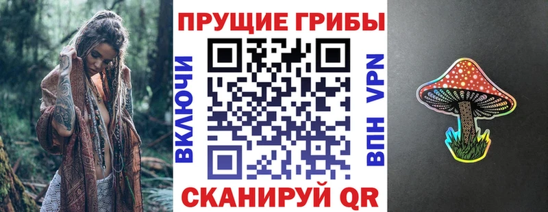 мориарти состав  наркошоп  кракен маркетплейс  Мензелинск  Галлюциногенные грибы Psilocybine cubensis 